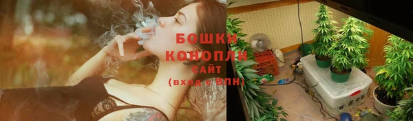 ПСИЛОЦИБИНОВЫЕ ГРИБЫ Верхнеуральск