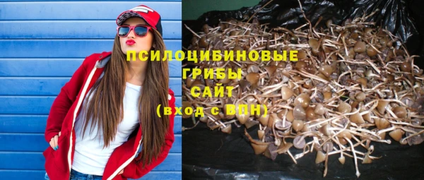 каннабис Верея