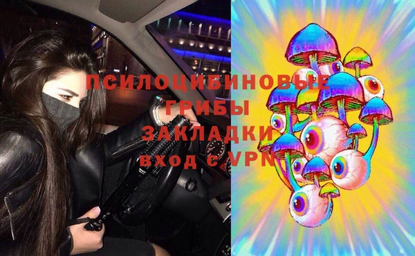 ПСИЛОЦИБИНОВЫЕ ГРИБЫ Верхнеуральск
