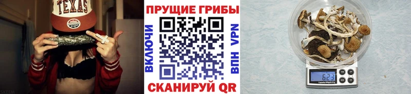 Купить закладки  Заозёрск  Псилоцибиновые грибы Magic Shrooms 